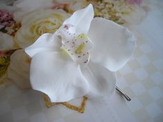 a white flower with pink speckles on it sitting on a table next to flowers