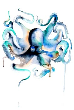 an octopus painted in watercolor on white paper