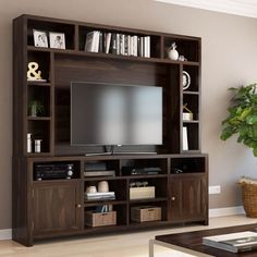 a living room with a large entertainment center and bookshelf in the corner, along with a potted plant