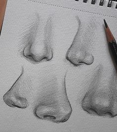 a pencil drawing of four different nose shapes