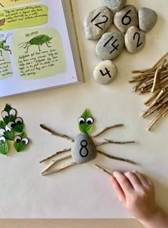 a person is making rocks with numbers and bugs