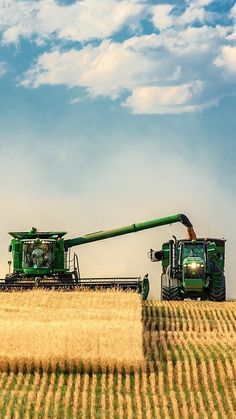 two large green tractors are in the middle of a wheat field with blue sky and clouds