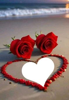 two red roses in the shape of a heart on beach with ocean and sky background