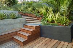 a wooden deck with steps leading up to plants