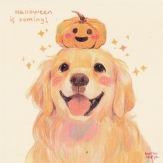 a drawing of a dog with a pumpkin on its head