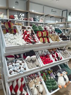 the shelves are filled with stuffed animals and other holiday items for sale at the store