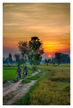 two people riding bikes down a dirt path near a grassy field at sunset with the sun setting in the distance