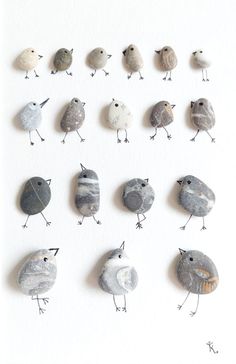 the birds are all different sizes and colors