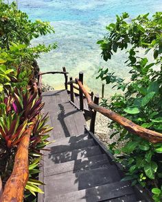 the stairs lead down to the water from the beach side area, which is surrounded by trees and vegetation