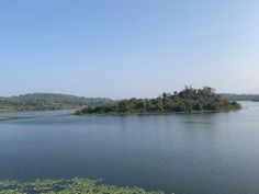 an island in the middle of a lake surrounded by water lillies and greenery