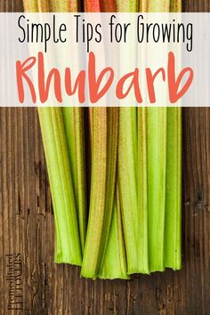 several stalks of rhubar on a wooden table with text overlay that reads simple tips for growing rhubar