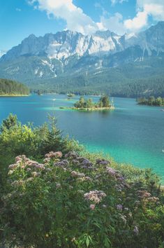 a lake surrounded by mountains and flowers in the foreground with blue skies above it