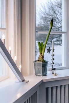 a potted plant sitting on top of a window sill next to a candle