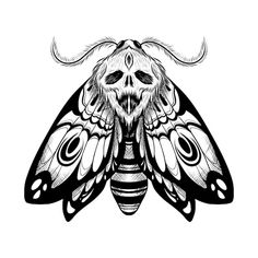 Moth Tattoo Drawing, Moth Line Drawing, Tattoo Png, Moth Drawing, Witch Tattoo, Moth Art, Moth Tattoo