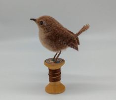 a small brown bird sitting on top of a spool of thread