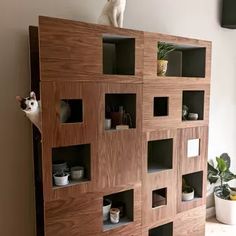 a cat sitting on top of a wooden shelf