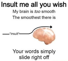 a poster with an image of a brain and the words insult me all you wish