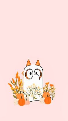 an orange and white cat sitting next to some pumpkins on a pink background with flowers