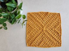 a crocheted square sits next to a potted plant