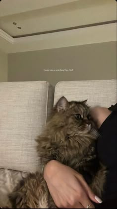 a woman sitting on top of a couch next to a large fluffy brown cat in her lap