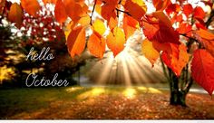 an autumn scene with the words hello october in front of leaves and sunbeams