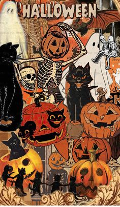 a collage of halloween pictures with cats and pumpkins