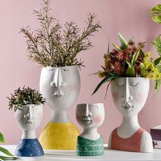 three ceramic vases with plants in them on a table next to a pink wall