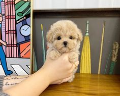 a person holding a small dog on top of a wooden table in front of a painting