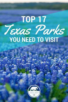 blue flowers with the words top 17 texas parks you need to visit