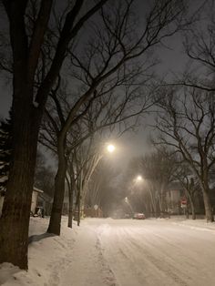 a snow covered road with trees and street lights on it at night in the winter