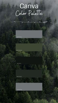 an aerial view of trees in the foggy forest with text that reads canva color palette