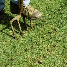 a person standing on top of a grass covered field next to a pair of shoes