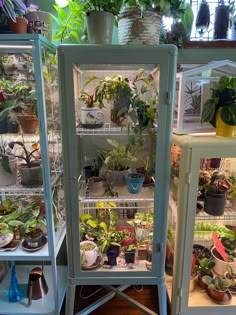 two shelves filled with plants and potted plants