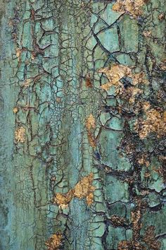 the bark of an old tree has been painted green and brown with some yellow spots