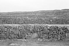 a black and white photo of a wall made out of rocks with a bench in the foreground