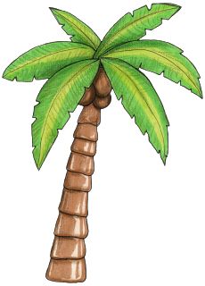 a drawing of a palm tree with green leaves on the top and bottom part of it