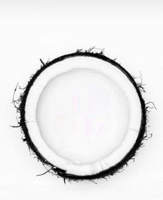 an overhead view of a whole coconut on a white background with black trimmings