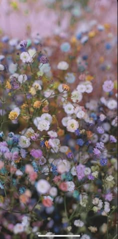 a bunch of flowers that are in some kind of flower field with the words, what do you think?