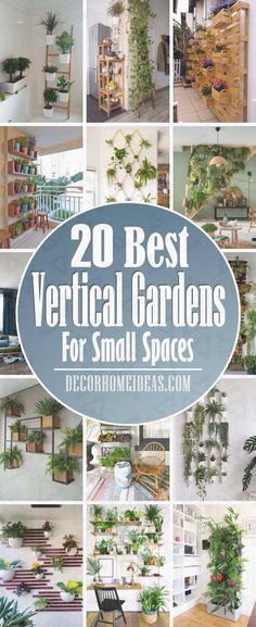 20 best vertical garden for small spaces