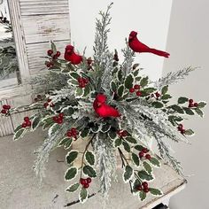 two red birds sitting on top of a potted plant with holly and berries in it