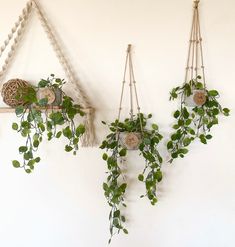 three hanging planters on the wall with green plants in them and some other decorations