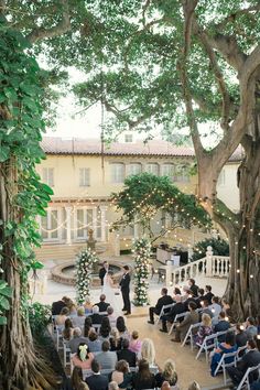 an outdoor ceremony is set up in front of a large tree and surrounded by greenery