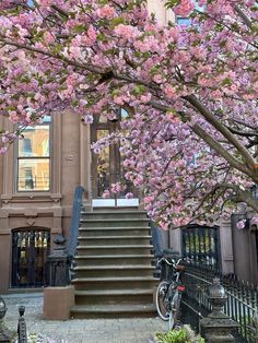 a bicycle parked next to a tree with pink flowers on it's branches in front of a building