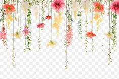 flowers hanging from the ceiling with transparent background, hd png and psd files