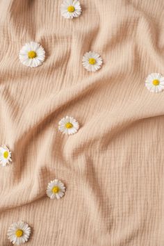 white daisies are scattered on a beige sheet