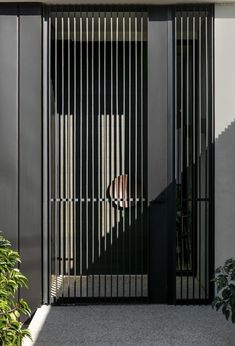 an open door with vertical slats on the outside and in between it is a potted plant