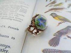 FORGET-ME-NOT ring with real moss and dried forgetmenot flowers from my garden.  As a true botanical and woodland jewelry, this glass terrarium ring is a sweet little gift for women! This romantic ring is made with real reindeer moss and blue forget-me-not flowers. The forget-me-not flowers were organically dried and conserved, and safely captured under a 15 mm (0,79 ") glass dome.  The filigree alloy ring base offers a free size.  The alloy is according to German laws nickel-, lead and cadmium Shell Terrarium, Real Reindeer, Mini Terrarium, Reindeer Moss, Woodland Jewelry, Romantic Rings, Flowers Botanical, Snail Shell, Glass Ring