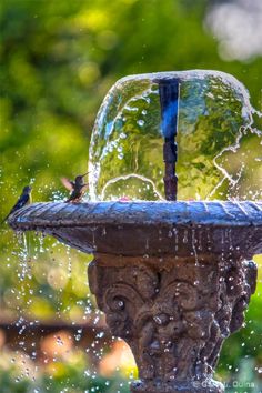 a bird is sitting on top of a fountain