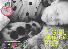 Toddler and her pet pig: video blog and details about mini pigs Pet Pig, Mini Pigs, Video Blog, Pet Pigs, Pigs, Baby Face