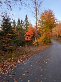 an empty road surrounded by trees in the fall